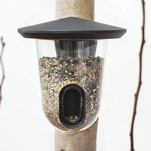 Foderautomat i klar plast til frøblanding