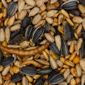 Frøblanding / fugleblanding med insekter - 4kg